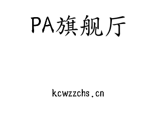 广东PA旗舰厅智能科技股份有限公司
